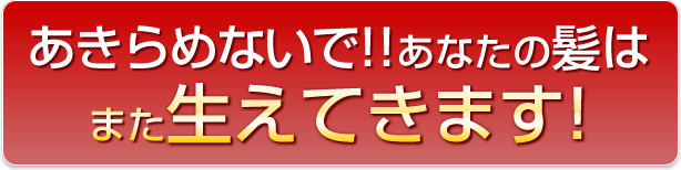 あきらめないであなたの髪はまた生えてきます